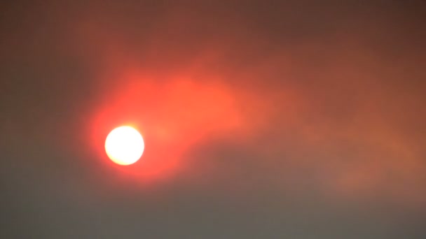 Red Sun and Wildfire Smoke — Stock Video