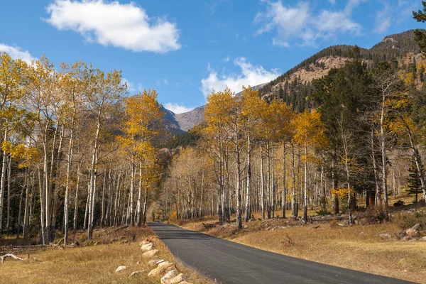 Camino de montaña en otoño —  Fotos de Stock