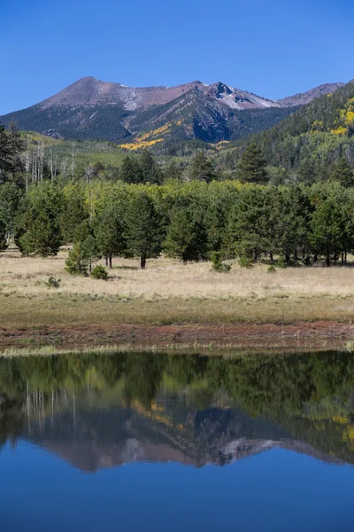 Lockett weide flagstaff arizona in de herfst — Stockfoto