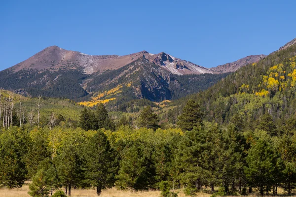 San francisco pieken flagstaff arizona in de herfst — Stockfoto