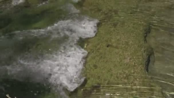 Schnell fließender Strom — Stockvideo