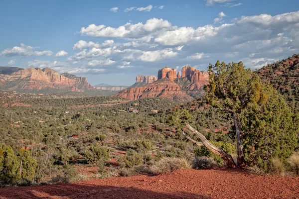 Sedona arizona krajobraz — Zdjęcie stockowe