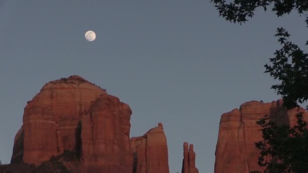 Cathedral Rock Moonrise — Stock Video