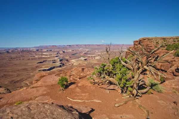 Parque Nacional de Canyonlands Utah — Fotografia de Stock