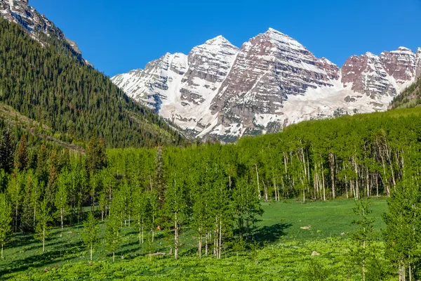 Summer at Maroon Bells — Stock Photo, Image