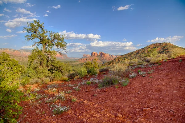 Scenic Sedona Arizona Landscape — Stock Photo, Image