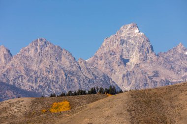 Grand Teton Ulusal Parkı Wyoming 'de sonbaharda manzaralı bir manzara.
