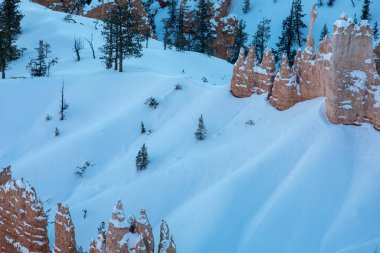 Bryce Canyon Ulusal Parkı Utah 'ta manzaralı bir kış manzarası