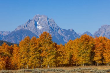 Grand Teton Ulusal Parkı Wyoming 'de sonbaharda manzaralı bir manzara.