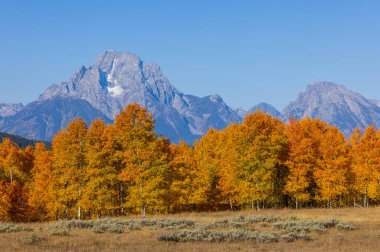 Grand Teton Ulusal Parkı Wyoming 'de sonbaharda manzaralı bir manzara.
