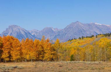 Grand Teton Ulusal Parkı Wyoming 'de sonbaharda manzaralı bir manzara.