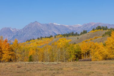 Grand Teton Ulusal Parkı Wyoming 'de sonbaharda manzaralı bir manzara.