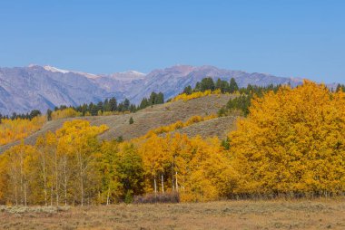 Grand Teton Ulusal Parkı Wyoming 'de sonbaharda manzaralı bir manzara.