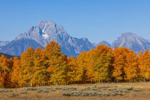 Uma Paisagem Cênica Grand Teton National Park Wyoming Outono — Fotografia de Stock