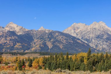 Grand Teton Ulusal Parkı Wyoming 'de manzaralı bir sonbahar manzarası.
