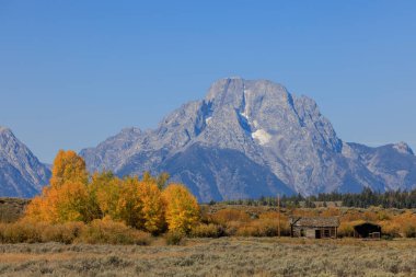 Grand Teton Ulusal Parkı Wyoming 'de manzaralı bir sonbahar manzarası.