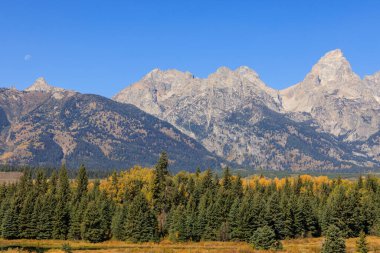 Grand Teton Ulusal Parkı Wyoming 'de manzaralı bir sonbahar manzarası.