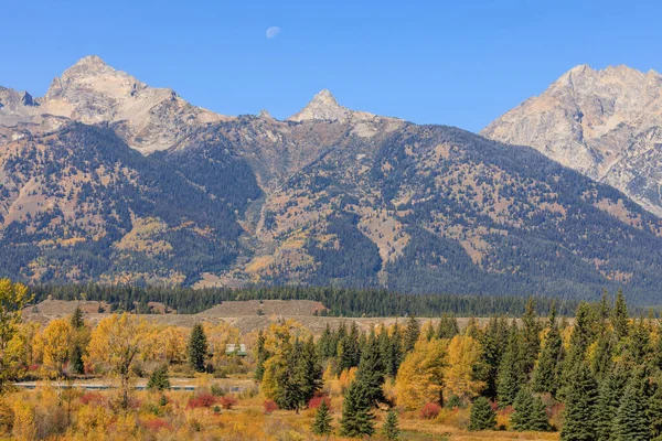 Malowniczy Jesienny Krajobraz Parku Narodowym Grand Teton Wyoming — Zdjęcie stockowe