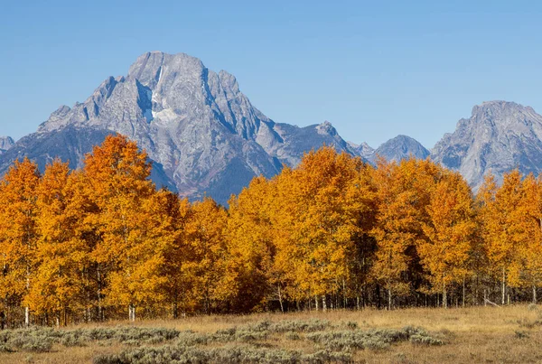 Paisaje Escénico Otoño Parque Nacional Grand Teton Wyoming —  Fotos de Stock