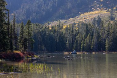 Grand Teton Ulusal Parkı 'nda sonbaharda Leigh Gölü manzarası