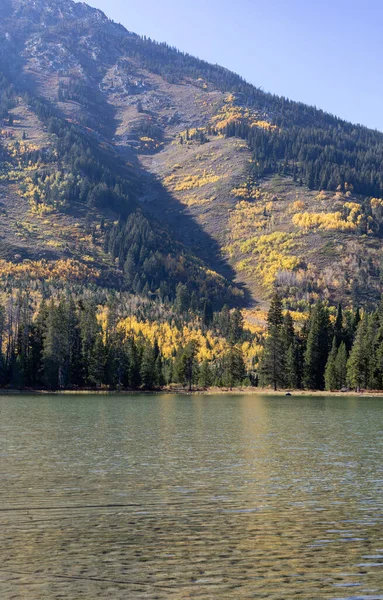 Landschap Leigh Lake Grand Teton National Park Herfst — Stockfoto