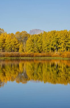 Grand Teton Ulusal Parkı Wyoming 'de sonbaharda manzara yansıması.