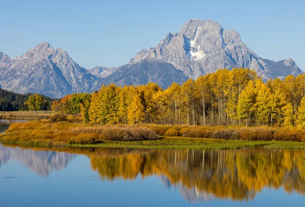 Grand Teton Ulusal Parkı Wyoming Sonbaharda Manzara Yansıması — Stok fotoğraf