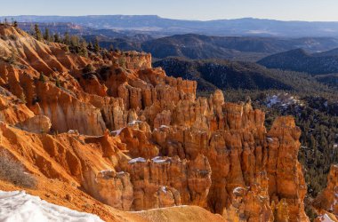 Yazın Utah çölünde vahşi bir at.