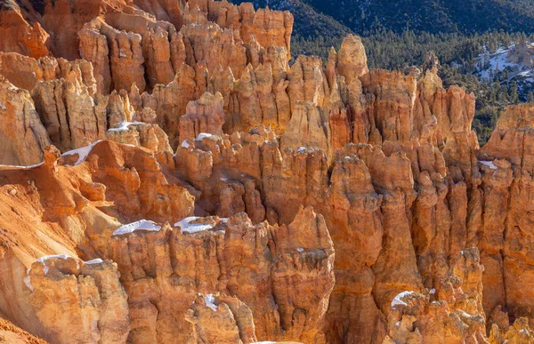 Caballo Salvaje Verano Desierto Utah —  Fotos de Stock