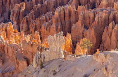 Bryce Canyon Ulusal Parkı Utah 'ta manzaralı bir kış manzarası