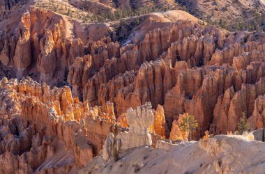 Bryce Canyon Ulusal Parkı Utah 'ta manzaralı bir kış manzarası