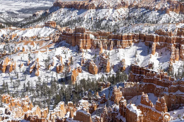 Snow Covered Landscape Bryce Canyon National Park Utah Winter — 스톡 사진