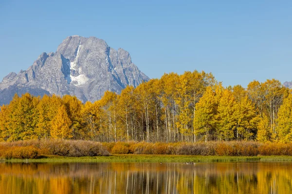 Eine Landschaftliche Spiegelung Den Tetonen Herbst — Stockfoto