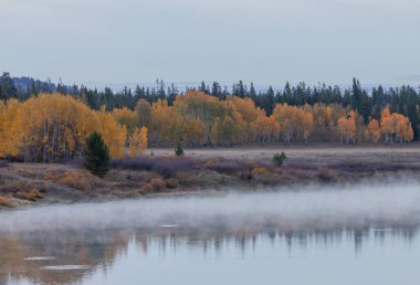 Grand Teton Ulusal Parkı Wyoming 'de sonbaharda manzaranın yansıması.