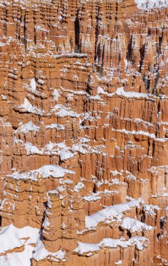 Kışın Utah 'taki Bryce Canyon Ulusal Parkı' nda kar manzaralı bir manzara.