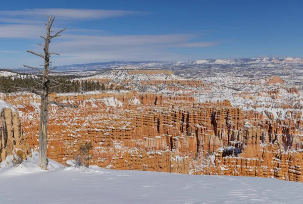 Malowniczy Zimowy Krajobraz Parku Narodowym Bryce Canyon Utah — Zdjęcie stockowe