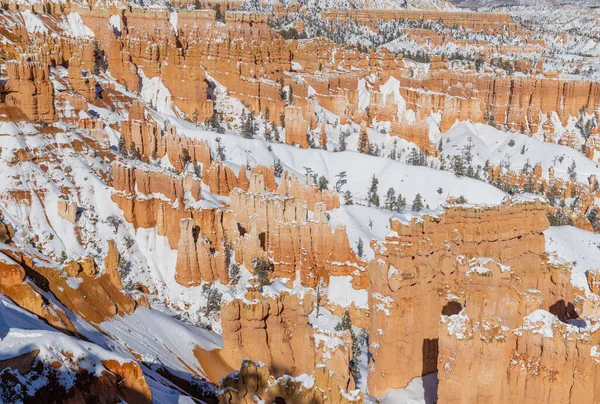 布莱斯峡谷国家公园犹他州积雪覆盖冬季风景 — 图库照片