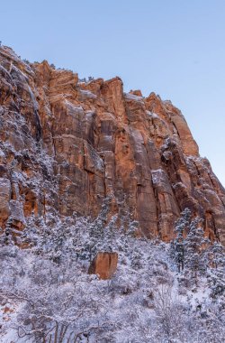 Utah Zion Ulusal Parkı 'nda manzaralı bir kış manzarası