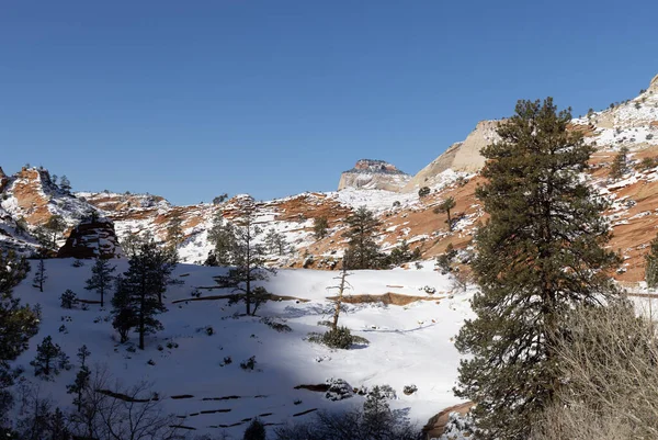 Paisaje Pintoresco Cubierto Nieve Parque Nacional Zion Utah Invierno — Foto de Stock