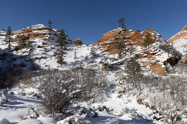 Paisaje Pintoresco Cubierto Nieve Parque Nacional Zion Utah Invierno — Foto de Stock