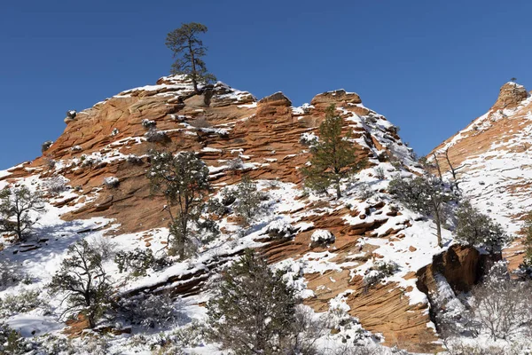 Uma Neve Cênica Coberta Zion National Park Utah Paisagem Inverno — Fotografia de Stock