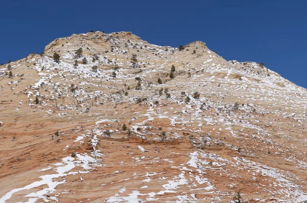 Malebný Sníh Pokryl Krajinu Národního Parku Zion Utahu Zimě — Stock fotografie
