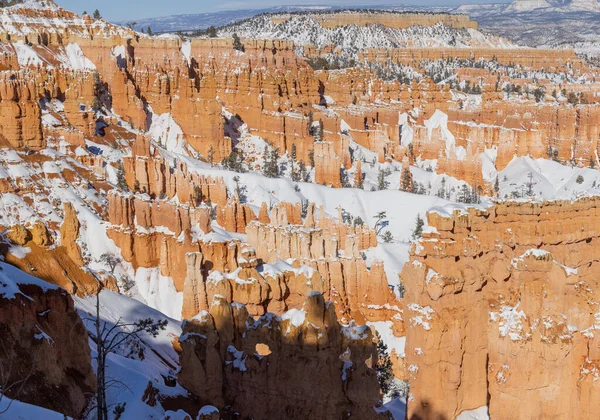 Parque Nacional Bryce Canyon Utah Paisaje Invernal — Foto de Stock