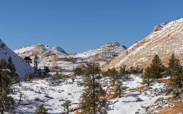 Malowniczy Śnieg Pokryty Zion National Park Utah Krajobraz Zimowy — Zdjęcie stockowe