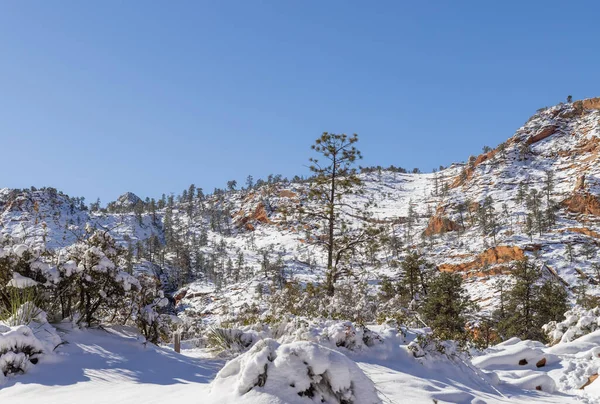 Scenic Snow Covered Zion National Park Utah Winter Landscape — Stock Photo, Image