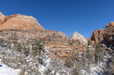 Zion Ulusal Parkı Utah manzaralı kış manzarası