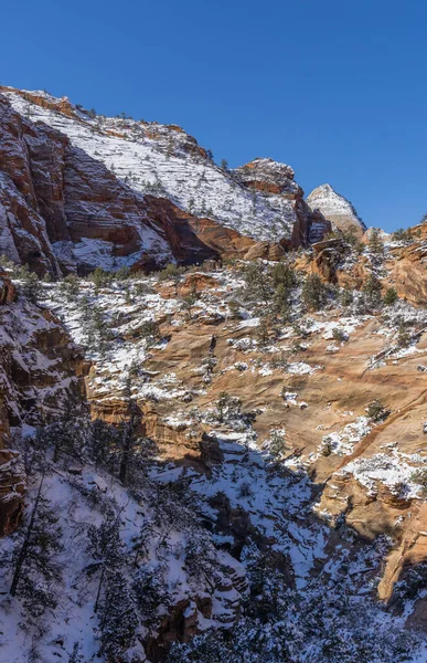 犹他州锡安奈托罗公园冬季的风景雪景 — 图库照片