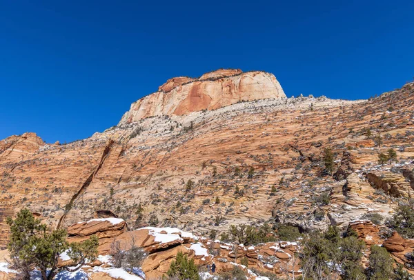 Uma Paisagem Coberta Neve Cênica Parque Nacional Zion Utah — Fotografia de Stock