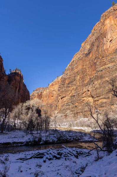 Paisaje Cubierto Nieve Parque Nacional Zion Utah — Foto de Stock