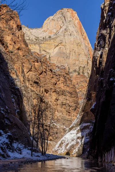Живописный Зион Сужается Национальном Парке Зион Штата Юта Зимой — стоковое фото